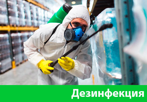 Дезинфекция в городе Искитим
