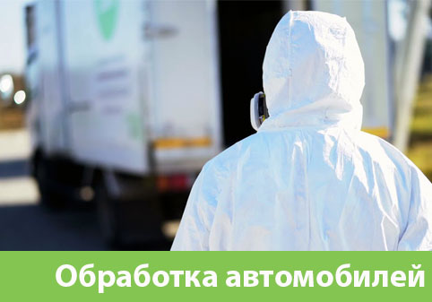 Дезинфекция автотранспорта в городе Искитим