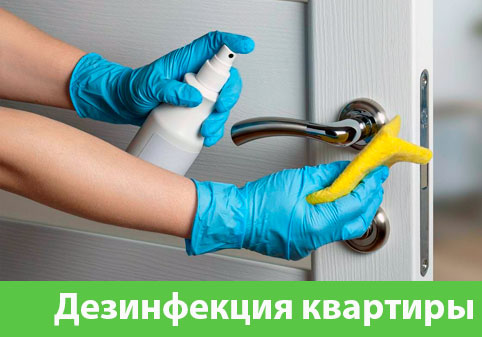 Дезинфекция квартиры в городе Искитим