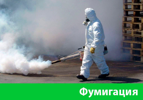 Фумигация в городе Искитим