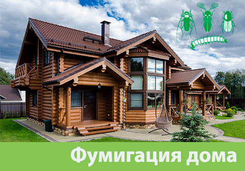 Преимущества обработки газом в городе Искитим