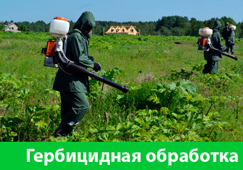 Гербицидная обработка в городе Искитим