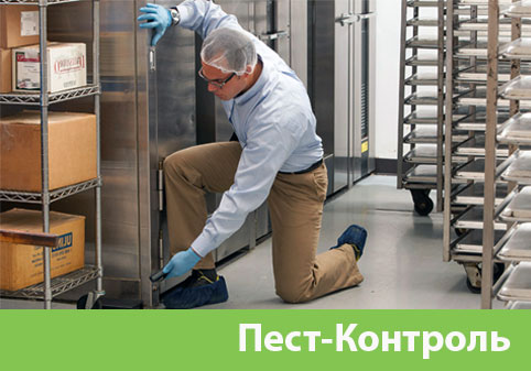 Пэст-Контроль в городе Искитим