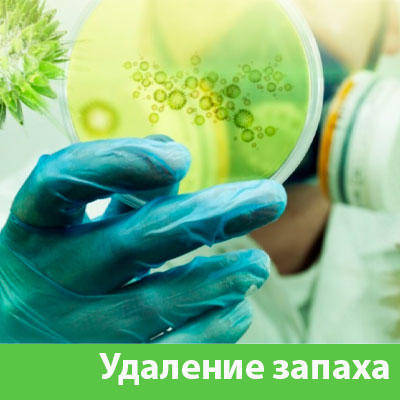 Удаление запахов в Искитиме