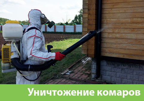 Уничтожение комаров в городе Искитим