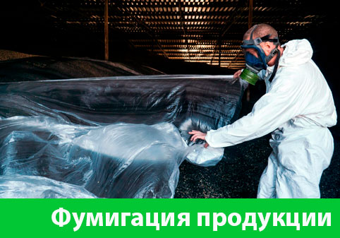 Фумигация продукции в городе Искитим